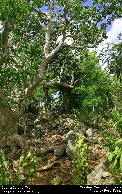 Nature Trail Guana Island