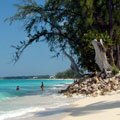 Cayman Islands Travel Guide