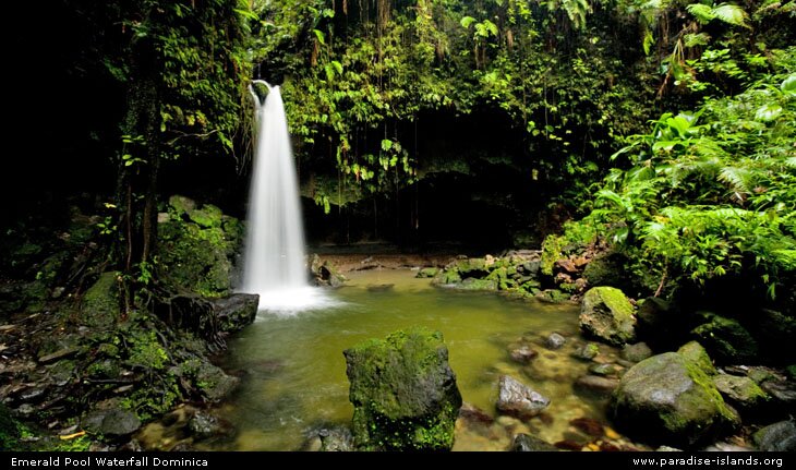 Emerald Pool Waterfall Dominica