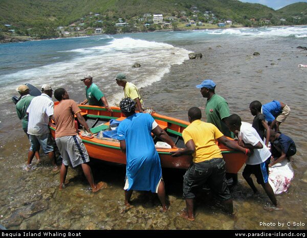 Bequia Island Whaling Boat