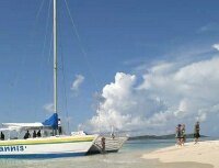 Palm Island Visitors