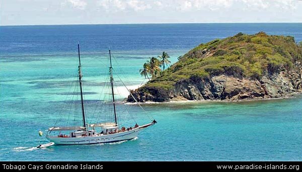 Tobago Cays Grenadines