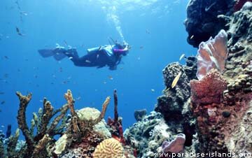 Scuba diver near Bequia