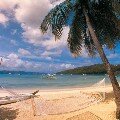 Jost Van Dyke Travel Guide