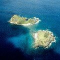 Seal Dogs, British Virgin Islands