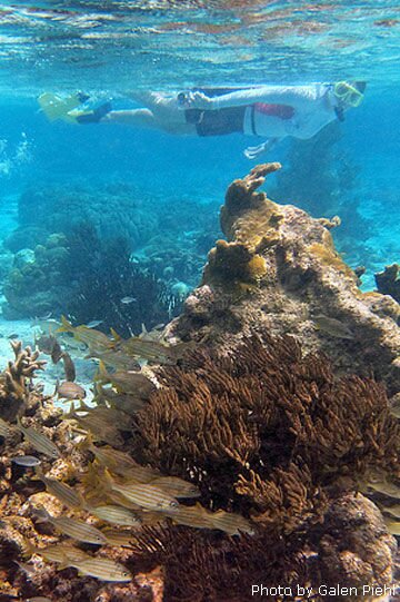 Snorkeling Bonaire