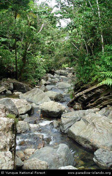 La Mina River, El Yunque