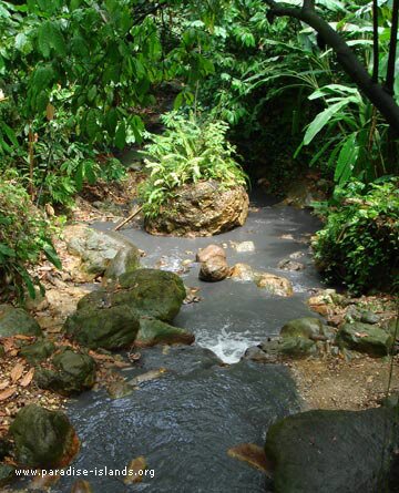 Diamond Botanical Gardens St Lucia