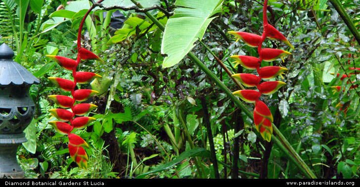 Diamond Botanical Gardens St Lucia