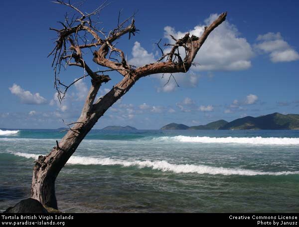 Tortola from Salt Island