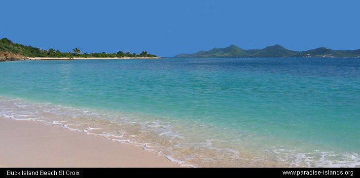 Buck Island Beach St Croix